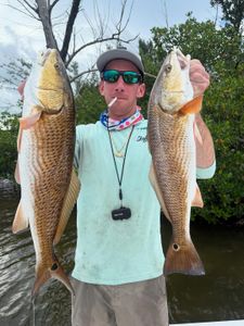 Two redfish caught while fishing in FL
