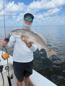Redfish caught while fishing in Punta Gorda