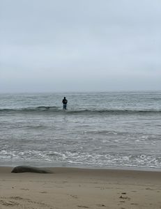 Scenic landscape with water sports near MA