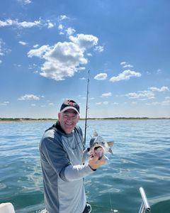 One person fishing in MA