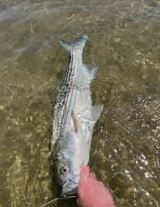 A scenic view of the water in MA during a fishing and water sports adventure.