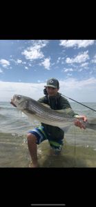 Striped bass caught while fishing in Colorado