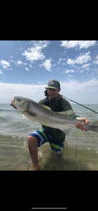 Striped bass caught while fishing in MA