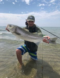 Striped bass fishing in MA