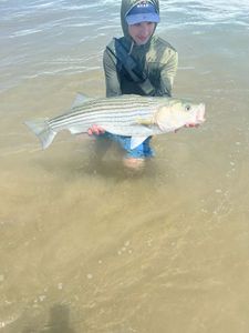 A striped bass caught during a fishing tour in CO