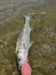 Fisherman enjoying water sports in MA