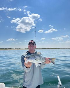 White Bass fishing in Boston