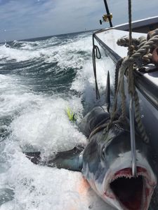 Fishing adventure in NJ