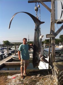 Hardhead Sea Catfish caught in Wildwood Crest while fishing