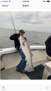 Striped bass caught while fishing in NJ