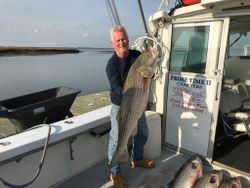 Striped bass caught in Wildwood Crest