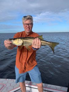 Snook fish caught while fishing in Richmond
