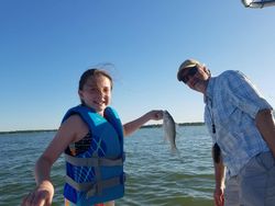 Bass Caught in Grapevine Lake