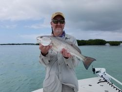 Redfish Caught in Texas!