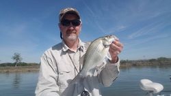 Bass Fishing in Grapevine Lake