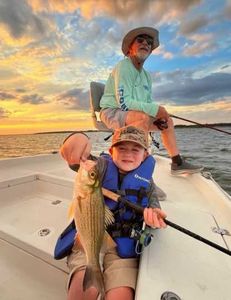 Striped bass caught in TX