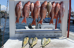 10 fish caught while fishing in FL