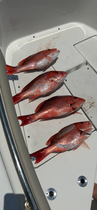 Best fishing in Panama City