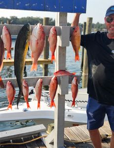 Great fishing trip in Panama City with 11 fish caught