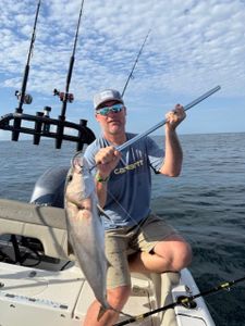 Blue catfish caught while fishing in FL