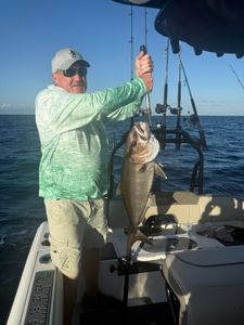 Angler fishing in FL