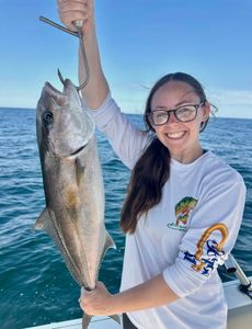 A photo of one Greater Amberjack caught while fishing in Panama City.