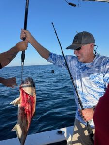 Angler fishing in Florida