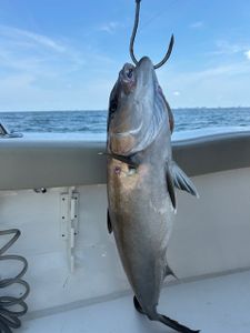 A fishing trip in FL
