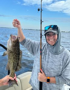 Gag grouper fishing in FL