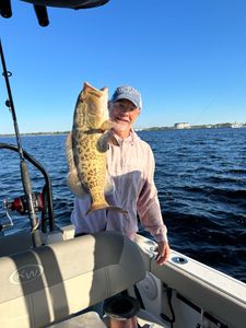 Gag Grouper, a 21-inch fish, caught while fishing in FL