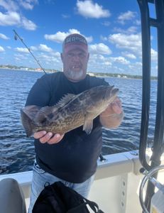 Gag Grouper fishing in Panama City