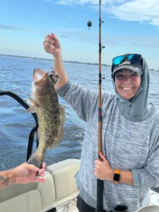 Gag Grouper fishing in Panama City