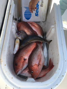 Great fishing trip in FL