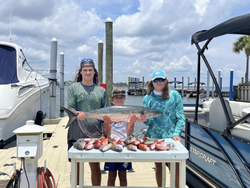 King Mackerel, a fishing catch in FL