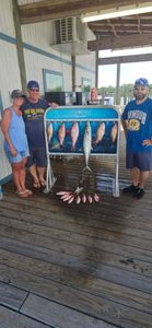 King Mackerel caught while fishing in FL