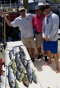 5 King Mackerel fish caught in Panama City