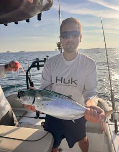 Little Tunny fish caught while fishing in FL