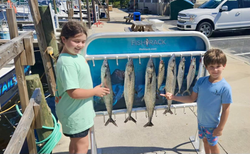 Four cero mackerel and spanish mackerel caught in Panama City