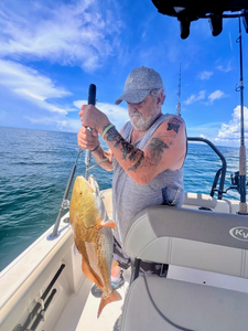 Redfish caught in Panama City