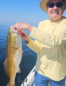 Redfish caught while fishing in Panama City