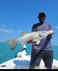 Snook fish caught in FL