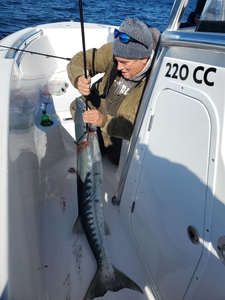 Best great fishing in SC