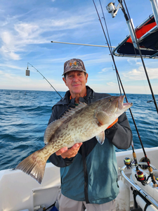 Gag Grouper fish caught while fishing in SC