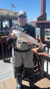 Redfish action in Corpus Christi! 