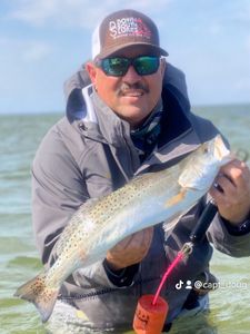 Laguna Madre Speckled Trout.