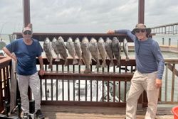 7 black drum, redfish, and spotted weakfish caught on a fishing tour in TX