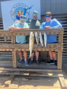 Four large fish caught during a fishing tour in Corpus Christi