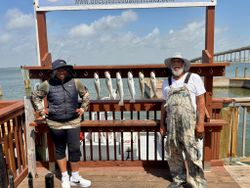 Two bluefish caught during a fishing tour in TX