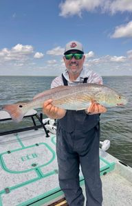 One angler fishing in Corpus Christi