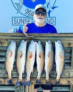 Redfish catch in TX
